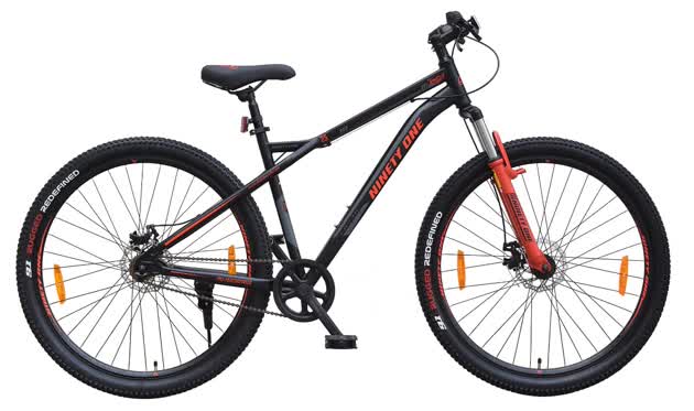 29t bicycle