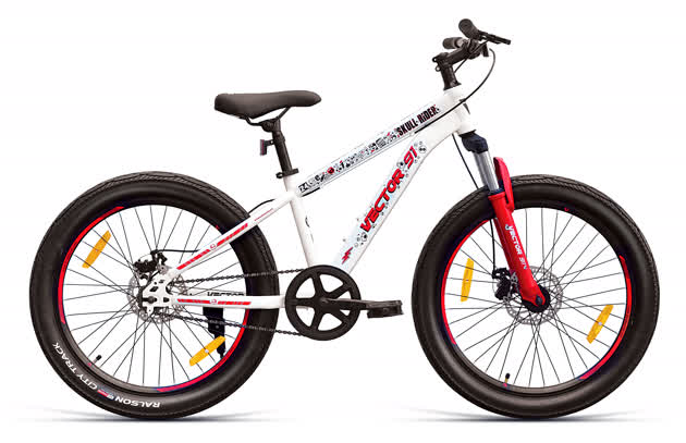 buy fat bike online