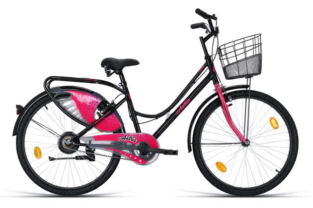 ladybird breeze cycle price