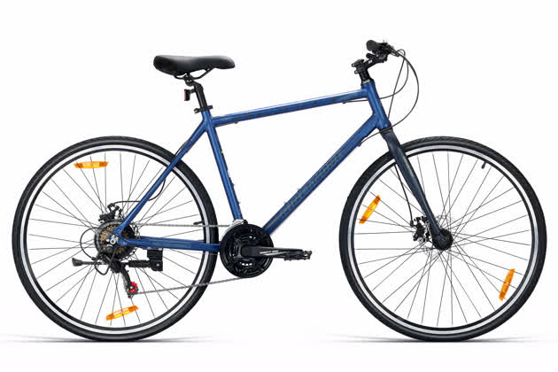 Expedition 700C NE Multi Speed