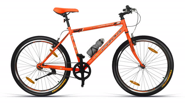 orange frog bike