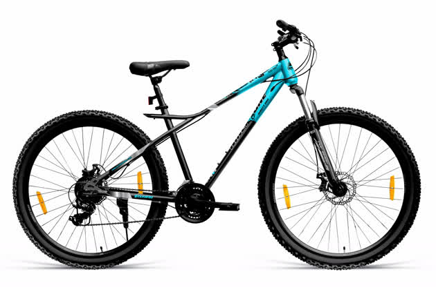 Black Tiger Pro D2TX 29T